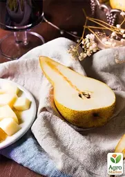 Саджанець Agro-Market Груша Бере Боск (осінній сорт, середній термін дозрівання) 1 шт. в упаковці (36529) - мініатюра 4