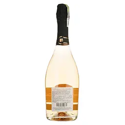 Вино ігристе Paololeo RosaRose Negroamaro Brut Spumante Rose рожеве брют 0.75 л - мініатюра 2