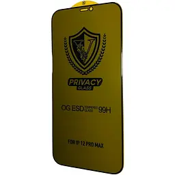 Захисне скло DK V Full Glue OG ESD Anti-Static Privacy для Apple iPhone 12 Pro Max black