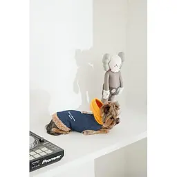 Шлея-жилет Pet Fashion Poppy для собак розмір XS2 - мініатюра 4