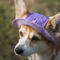 Панама для собак Hat-Dog Лавандовий раф (S) - мініатюра 2