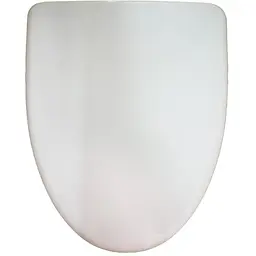 Сидіння для унітазу AM.PM Bliss L (C537851WH)