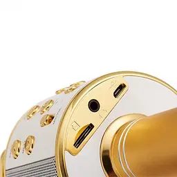 Бездротовий караоке Bluetooth мікрофон з динаміком у коробці WSTER WS-858 золотистий - мініатюра 4