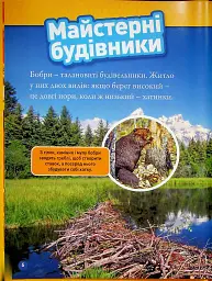 Тварини-будівники - мініатюра 2