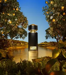 Le Gemme Tygar парфумована вода 100 ml - мініатюра 3