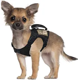 Шлейка для котів Harness, тактичний жилет з ручкою (35-48 см), Чорний - мініатюра 4