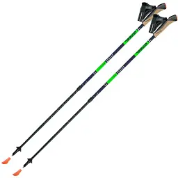 Палиці для скандинавської ходьби Gabel Stretch Carbon