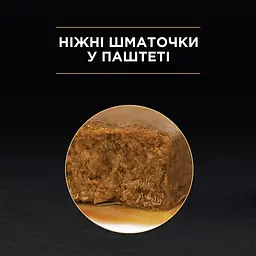 Вологий корм для дорослих котів Purina Pro Plan Adult шматочки в паштеті з куркою 85 г (12458942) - мініатюра 6