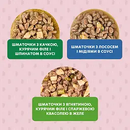 Набір корм вологий для котів Delickcious Набір №3 340 г (85 г х 4 шт.) - мініатюра 6