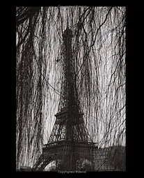 Paris Blues - мініатюра 5