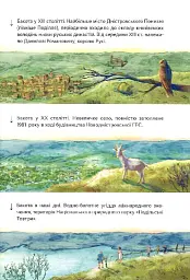 Бакотський скарб - Олександра Орлова - мініатюра 9
