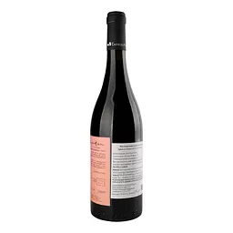 Вино Castel del Piano Melampo Pinot Noir Red 2019 червону сухе 13% 0.75 л - мініатюра 4
