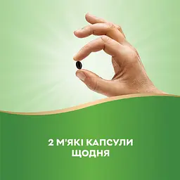 Натуральная добавка Nature's Way Chlorofresh, 90 капсул - мініатюра 5