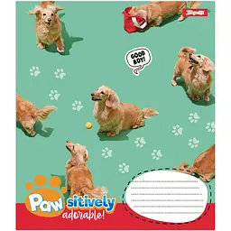 Зошит 1 вересня Pawsitively А5, 24 аркуша в лінію (768241)  