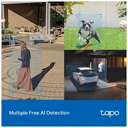 Камера відеоспостереження TP-Link TAPO-C520WS - мініатюра 10