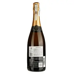 Вино ігристе Mosnel Franciacorta Brut, біле, брют, 12,5%, 0,75 л - мініатюра 2