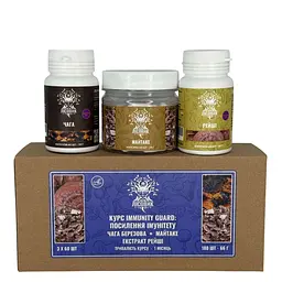 Курс Лісовик Immunity Guard Посилення імунітету на 1 місяць 180 капсул