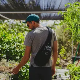 Рюкзак Osprey Daylite Sling Black - мініатюра 4