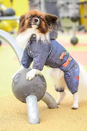 Комбінезон Smart Pet Шериф