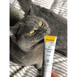 Вітамінна паста GimCat Expert Line UT Balance для котів, 50 г - мініатюра 5