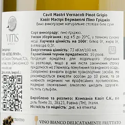 Вино Cavit Mastri Vernacoli Pinot Grigio, біле, сухе, 12,5%, 0,75 л - мініатюра 3