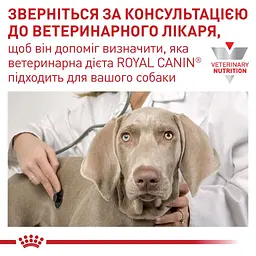 Консервований корм для дорослих собак та кішок Royal Canin Recovery у період відновлення після анорексії 195 г - мініатюра 6