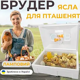Брудер Теплуша для курчат, бройлерів, перепелів, індиків (ясла) - мініатюра 2