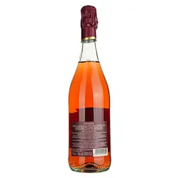 Ігристе вино Abbazia Lambrusco Rosato Emilia Fiorino d’Oro IGT, рожеве, напівсухе, 0.75 л - мініатюра 2