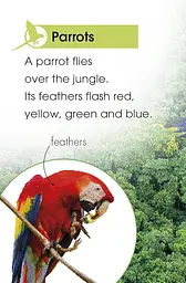 Jungle Animals. Discover the Secrets of the Jungle! - мініатюра 2