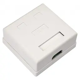Комп'ютерна розетка RJ45x2 UTP cat.5e 8P8C Vinga (VCPRJ45O2) - мініатюра 2