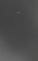 Темрява навколо нас - Еліот Шрефер - мініатюра 4