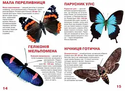 Велика книга Кристал Бук Метелики (F00019393) - мініатюра 3