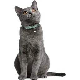 Нашийник для котів BronzeDog Barksi Classic Хвиля шкіряний одинарний з срібним тисненням 2XS 18-25х1 см ментоловий - мініатюра 4