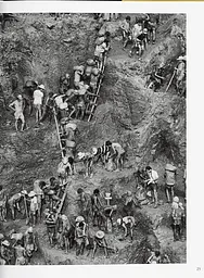 Sebastiao Salgado. Gold - мініатюра 4