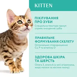 Сухий корм для кошенят Optimeal з куркою 0.7 кг (B1810902) - мініатюра 2