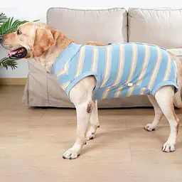 Післяопераційна попона Derby Blue Stripe, M - мініатюра 3