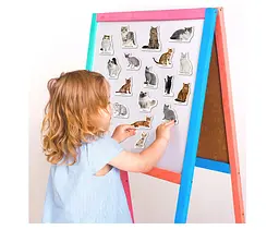 Магнітний набір Magdum Magnetic set Breeds of cats Породи котів (ML4031-13 EN) - мініатюра 6