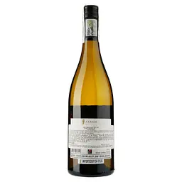 Вино Ayama Chenin Blanc, біле, сухе, 0,75 л - мініатюра 2