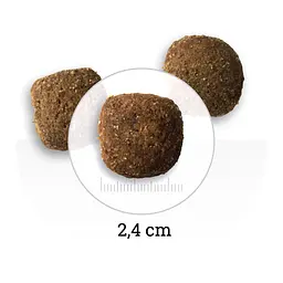 Сухий корм для дорослих собак великих порід Bon Appetit Adult Dog Maxi Chicken&Rice з куркою та рисом 12 кг - мініатюра 5