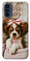 TPU чохол Demsky Sleepy spaniel для Motorola Moto G41