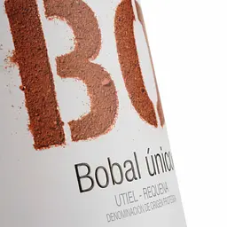 Вино Vicente Gandia Bo Bobal, червоне, сухе, 0,75 л - мініатюра 3