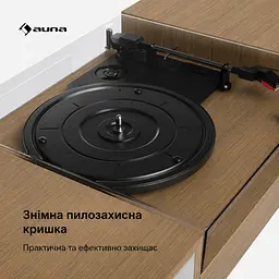 Програвач вінілу TT-Play 2x10W BT RCA-Out (10045082) - мініатюра 7