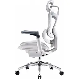 Офісне крісло Sihoo DORO C300 Pro Mesh White (DORO-C300-PRO-M102) - мініатюра 4