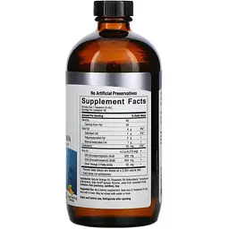 Омега-3 Nature's Answer Liquid Omega-3 Deep Sea Fish Oil EPA/DHA апельсиновий смак 480 мл - мініатюра 2