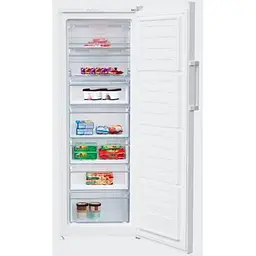 Морозильна камера Beko RFNE290L21W - мініатюра 2