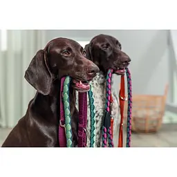 Повідець Trixie Premium регульований двошаровий для собак M–L 2 м 20 мм бордовий - мініатюра 6