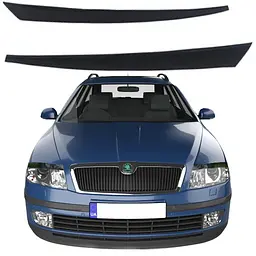 Вії фар Skoda Octavia A5 2004-2010 Voron Glass