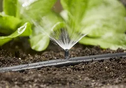 Мікронасадка Gardena Micro-Drip-System секторна 90 °, 5 шт (01368-29) - мініатюра 2