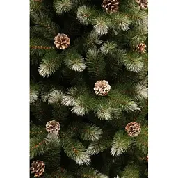 Сосна штучна Triumph Tree Forest Pittsburgh зелена з ефектом покриття інеєм та шишками 2.30 м - мініатюра 4