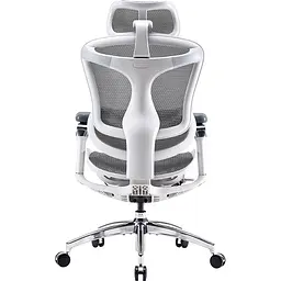 Крісло офісне Sihoo Doro C300 Pro Mesh White (DORO-C300-PRO-M102) - мініатюра 2